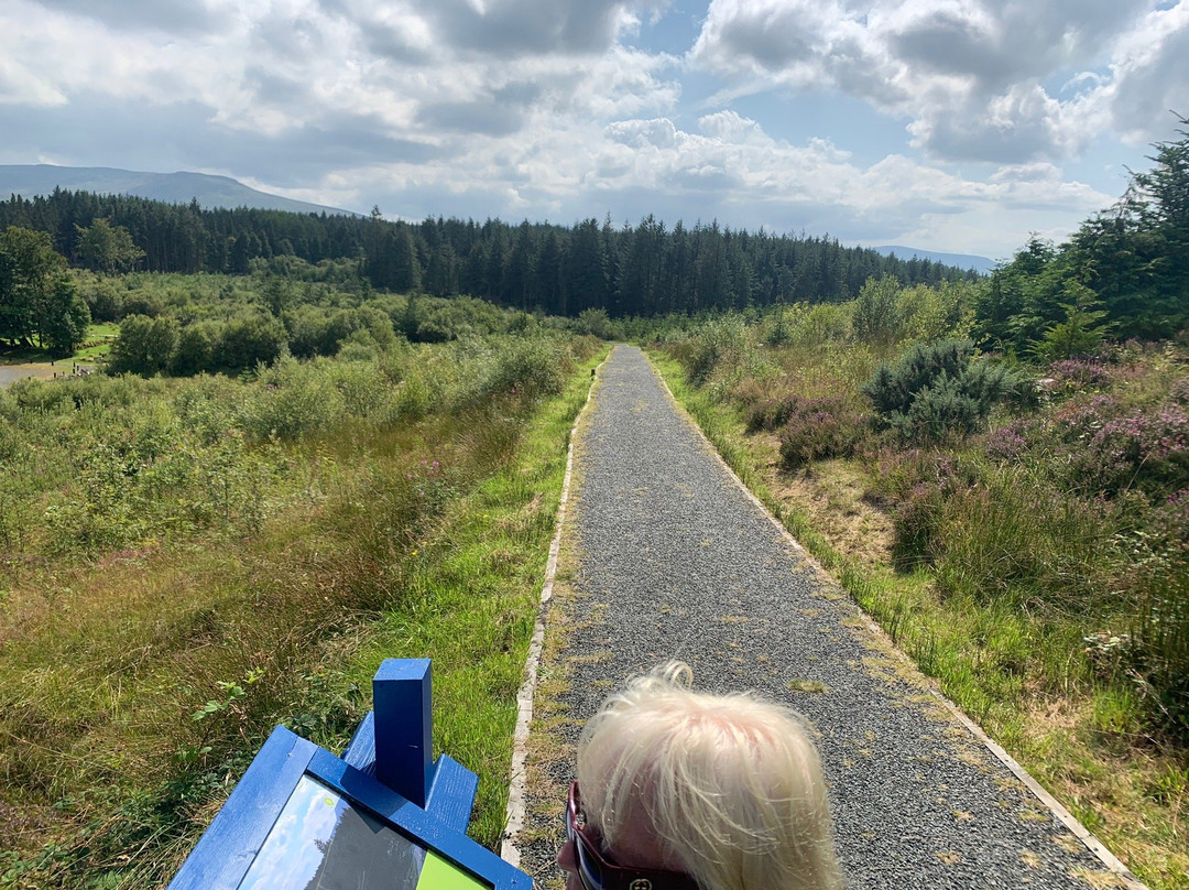 Cavan Burren Park-Cavan必去景点
