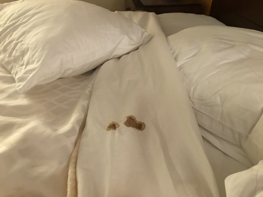 Best Western Snyder Inn主图