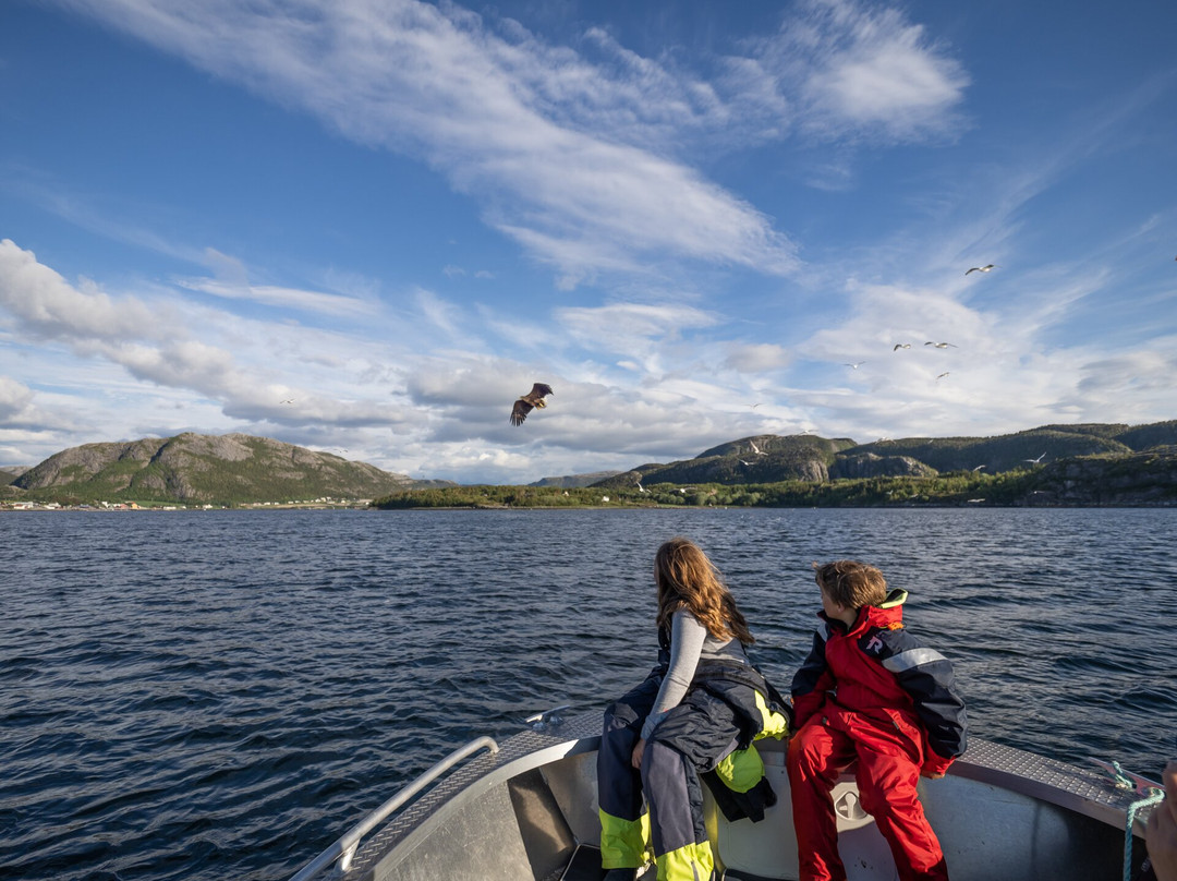 Norway Nature景点图片