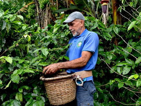 Café San Luis-蒙特沃德必去景点