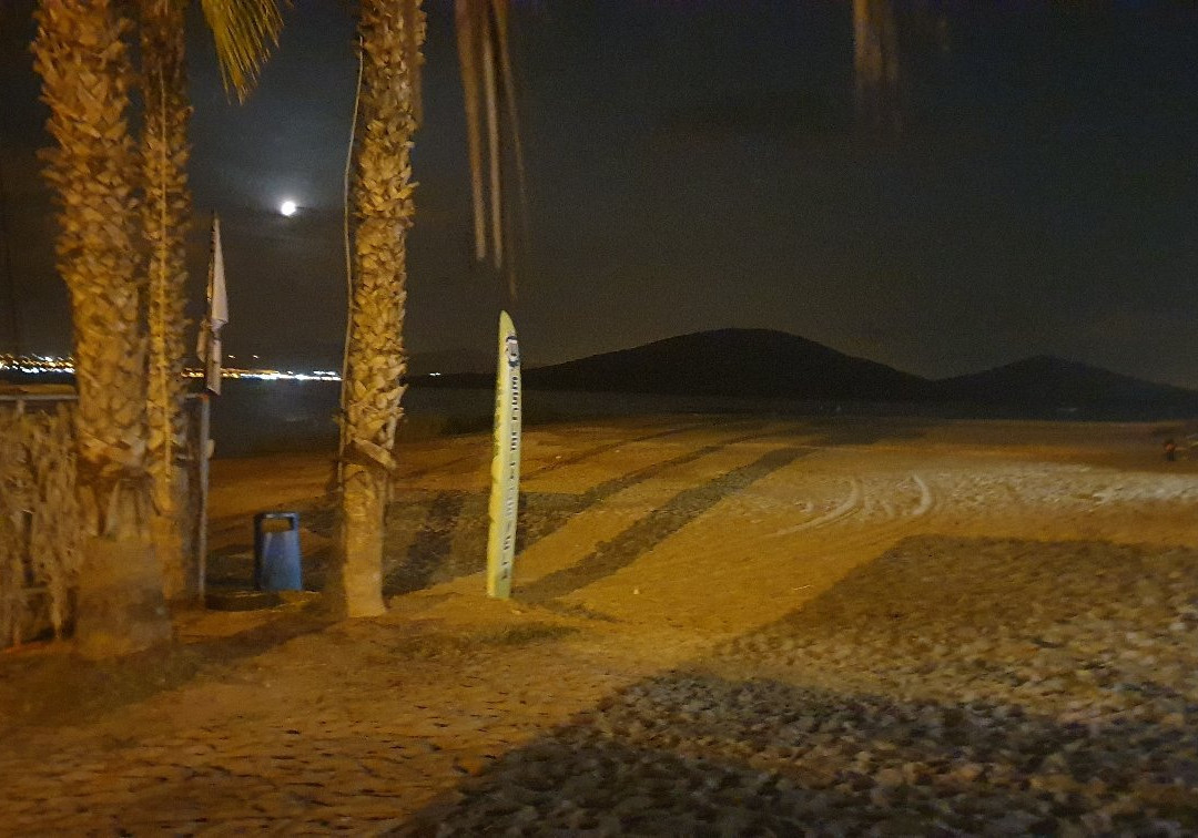 Playa de Cavanna景点图片