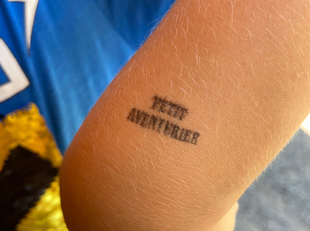 Parc Arbre Aventure-Kruth必去景点