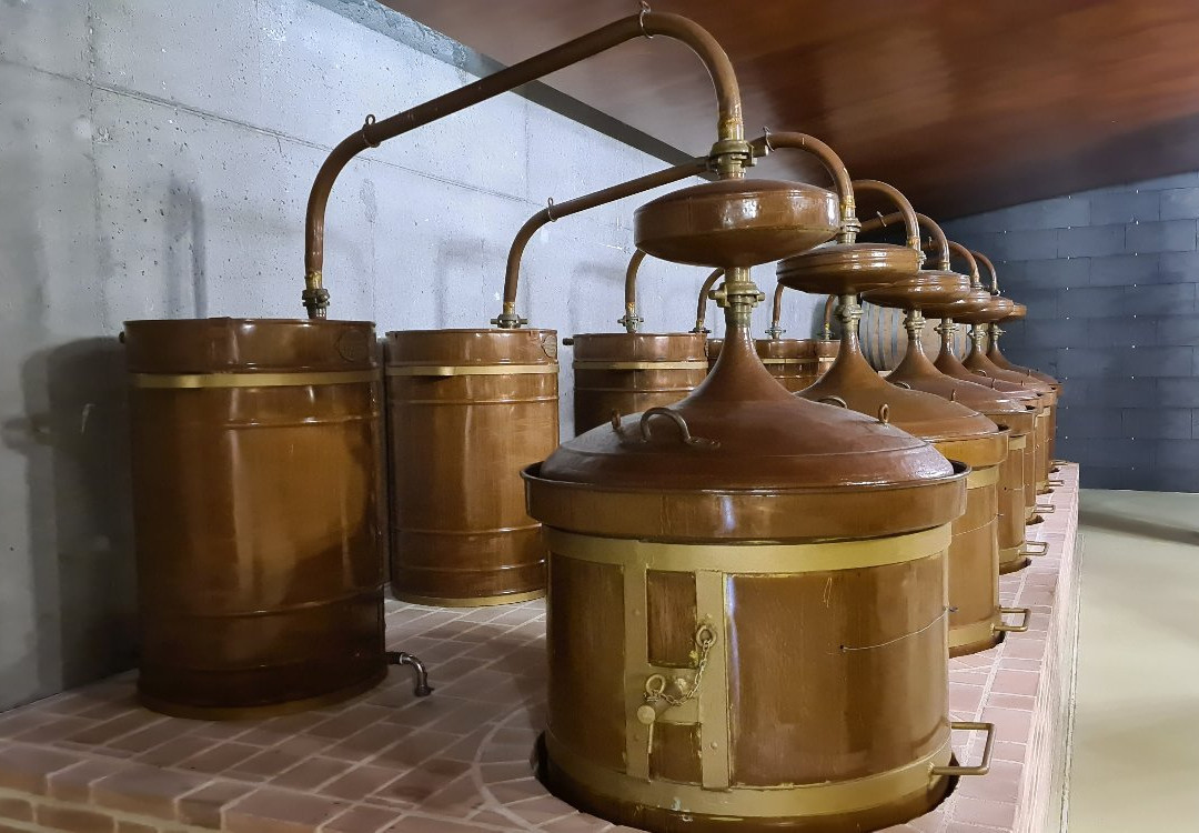 Bodegas Granbazán-Vilanova de Arousa必去景点