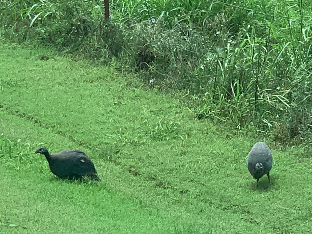 Horseshoe Bend Cellars Vineyard & Winery-Iowa Park必去景点