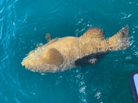 Bent Charters Fishing-马德拉海滩必去景点