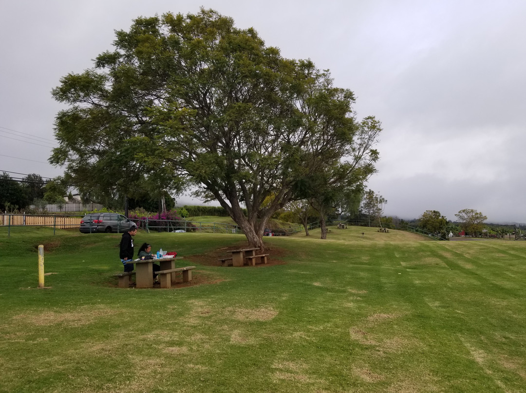 哈罗德•赖斯公园-库拉必去景点