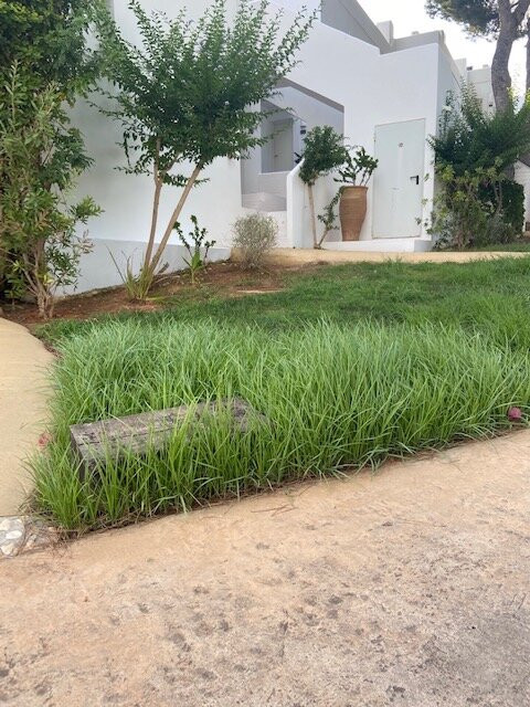 Destino Five Ibiza主图