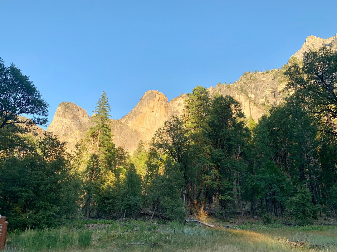 Yosemite Guide Service景点图片