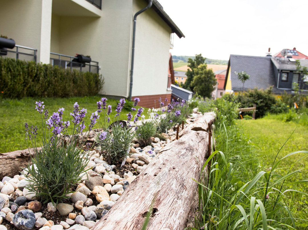 Landhotel Kraeuterberg’l Kreischa主图
