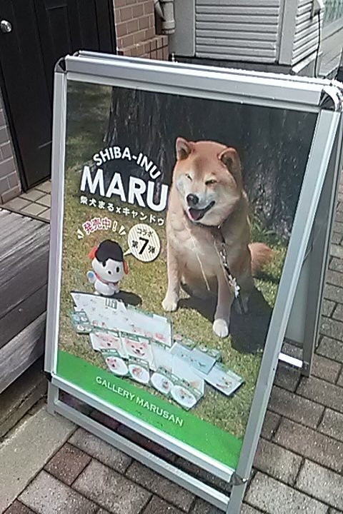 Gallery Marusan-Nezu必去景点