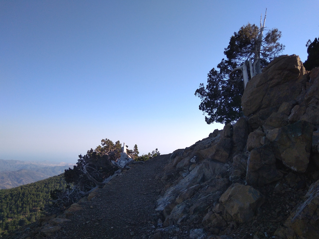 Troodos Mountains-Limassol必去景点