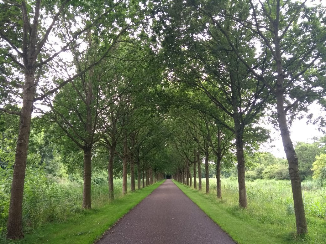 Natuurpark Lelystad-莱利斯塔德必去景点