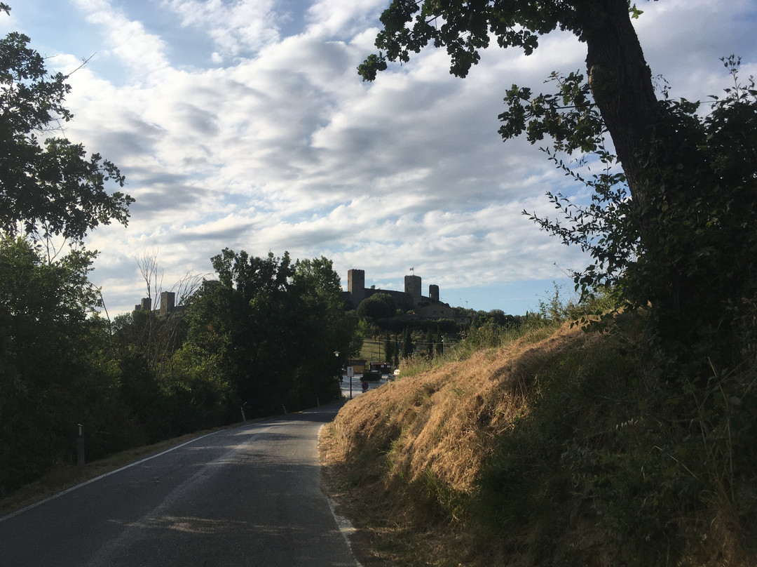 Cantinetta di Monteriggioni景点图片