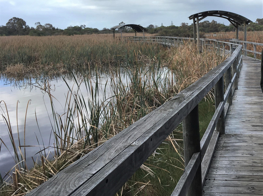 Big Swamp Walk-班伯利必去景点