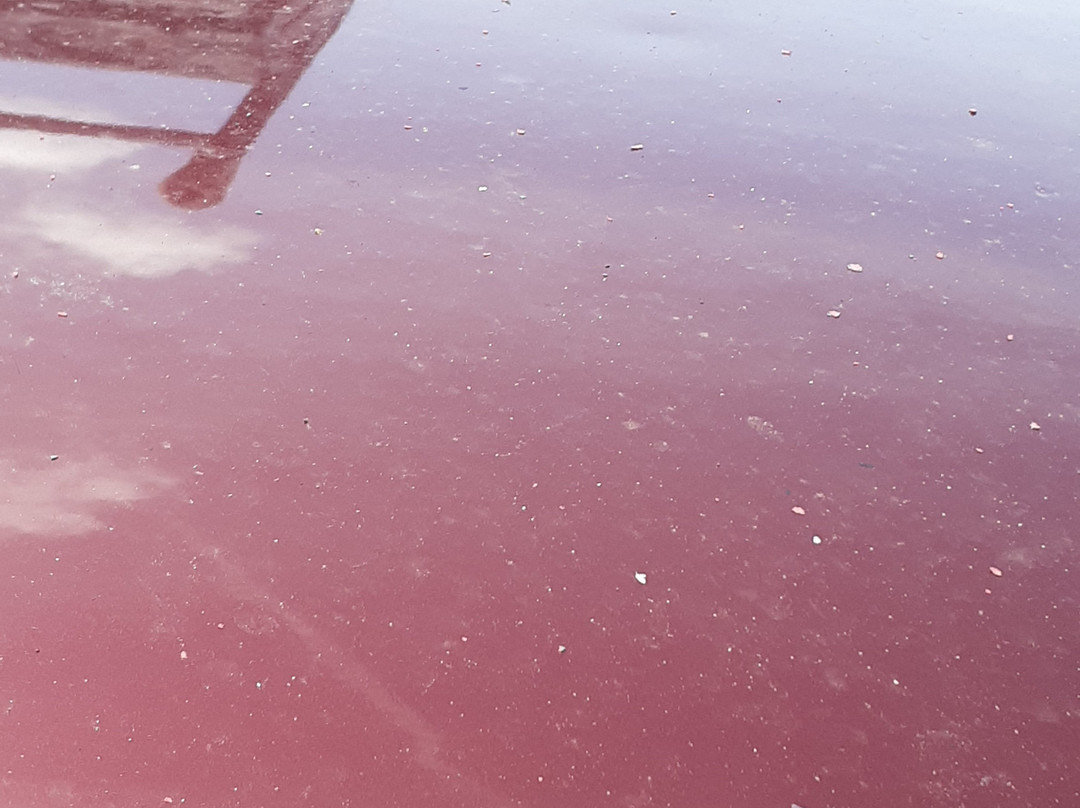 Star Plus Inn & Suites主图