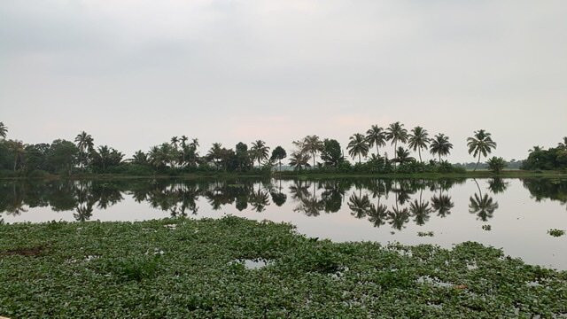 Warmth Lake Haven主图