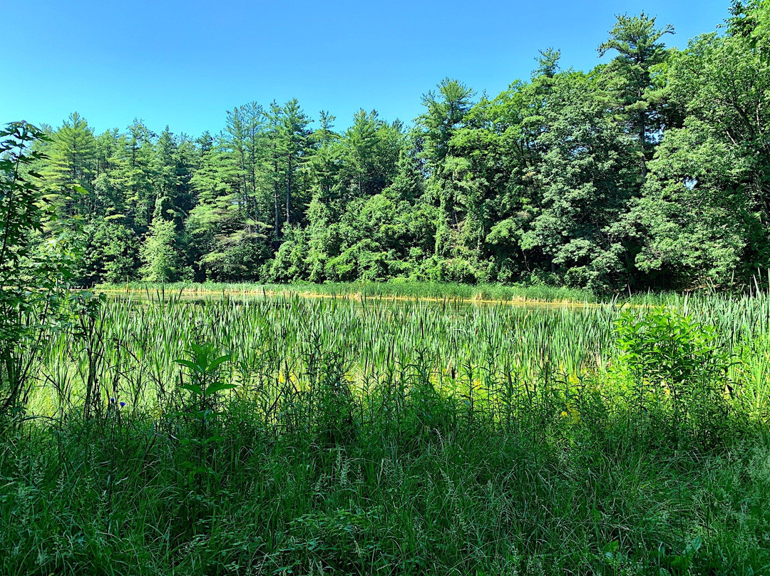 Highland Pond-格林菲尔德必去景点