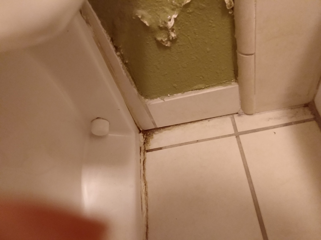 克拉丽奥酒店主图