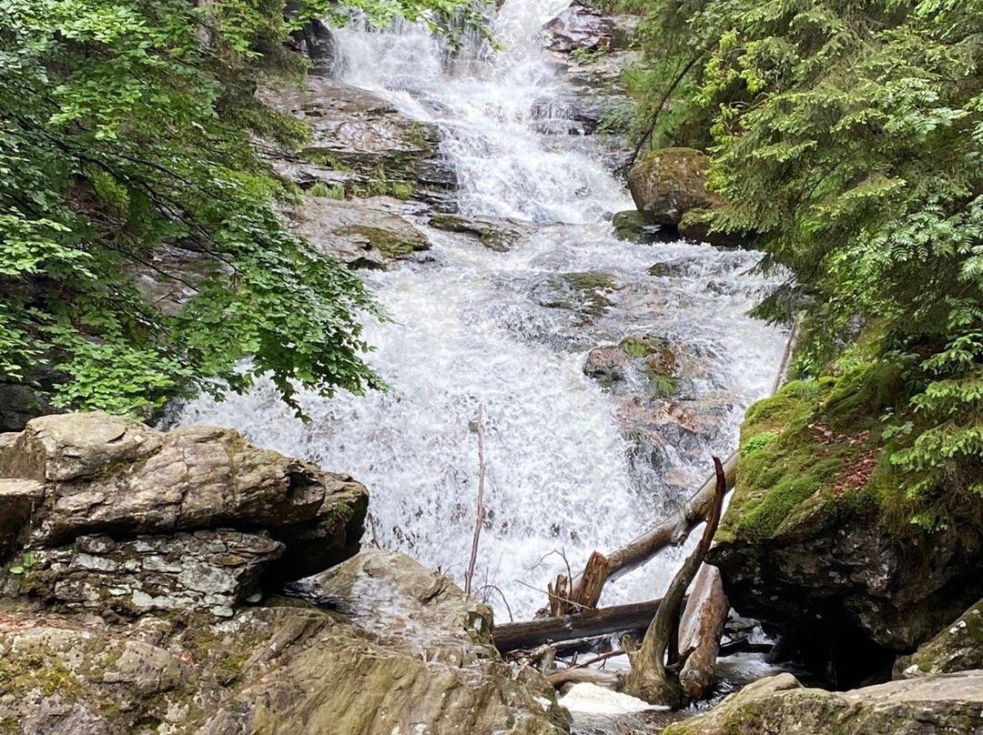 Rissloch Waterfalls景点图片