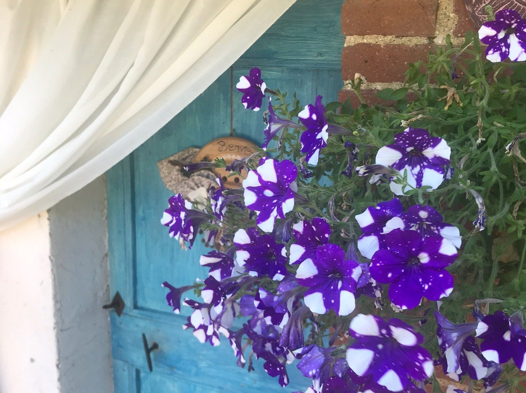 B&B Il Casale delle Girandole主图