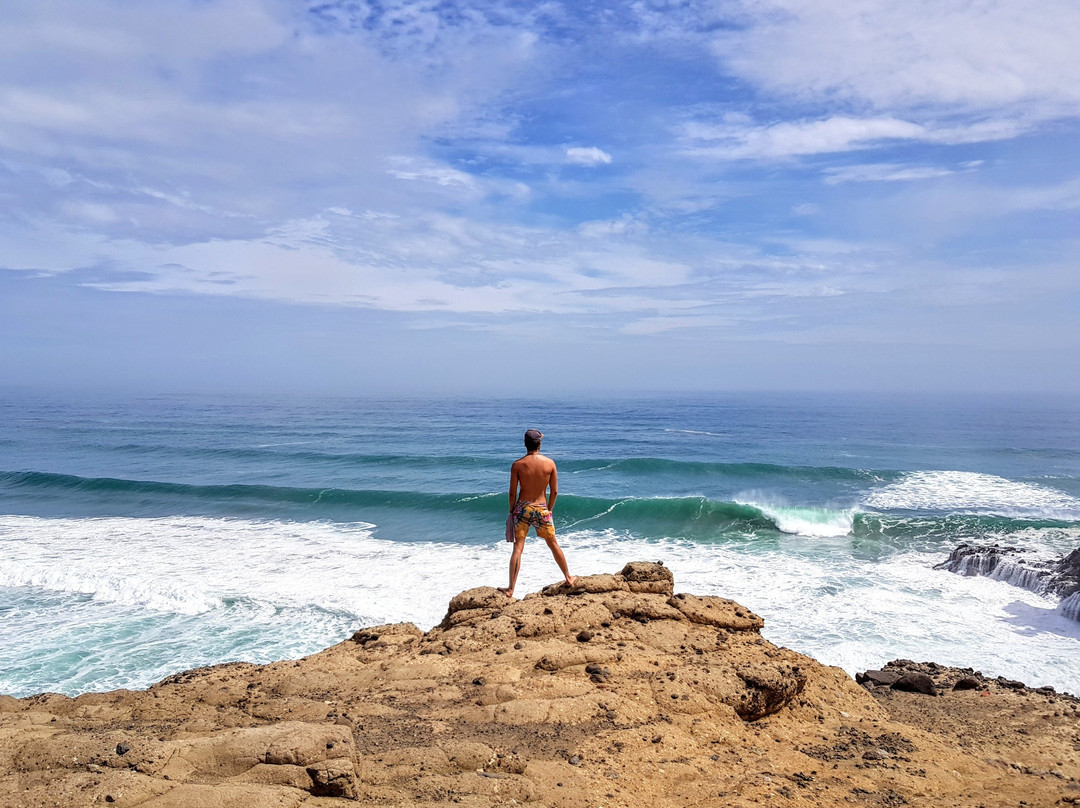 Trippy - West Auckland Adventures-皮哈海滩必去景点