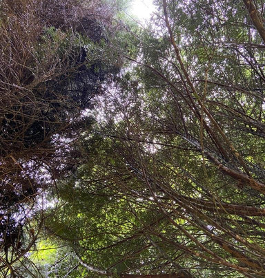 Cocorico Extrem Road-沙尔必去景点