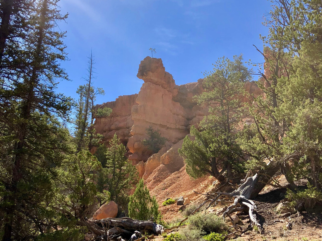 American ATV Rentals-潘圭奇必去景点