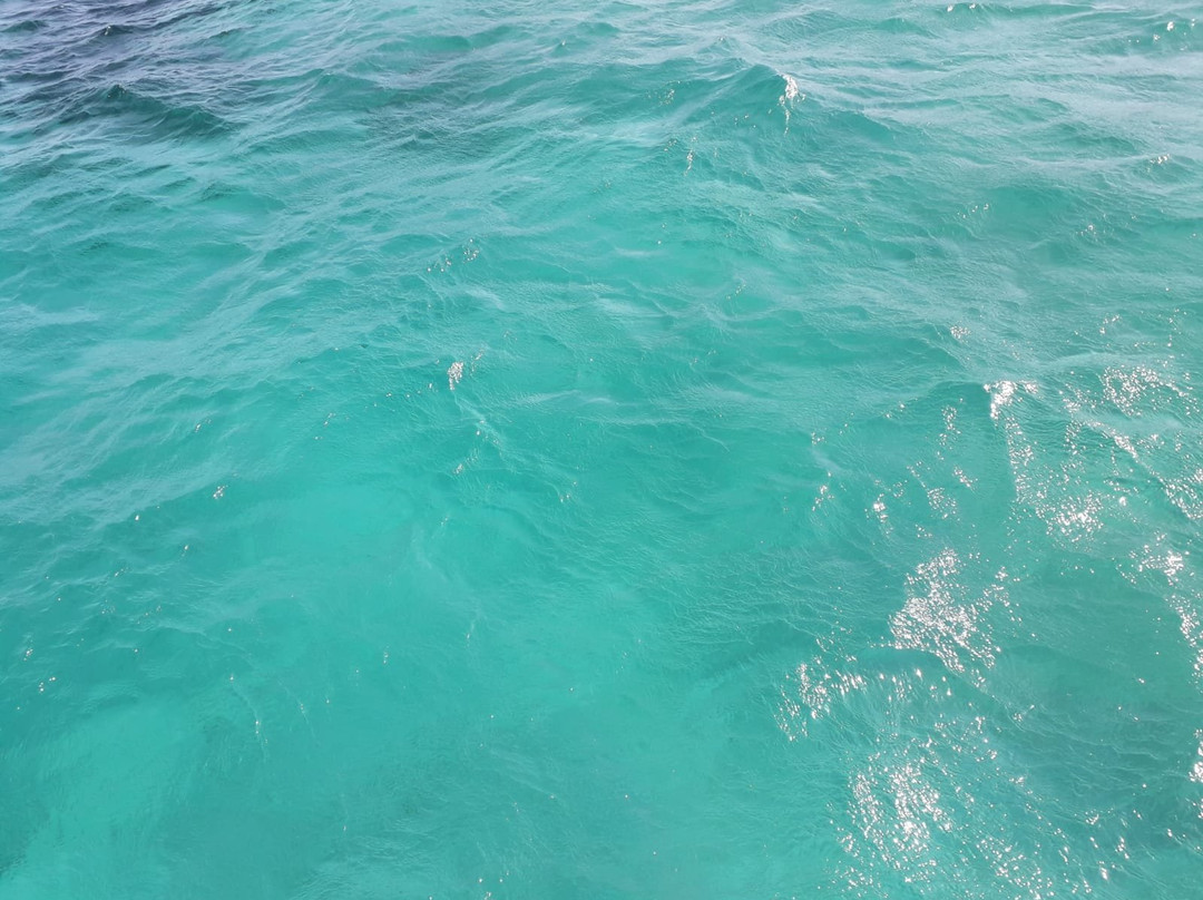 Nautical Service