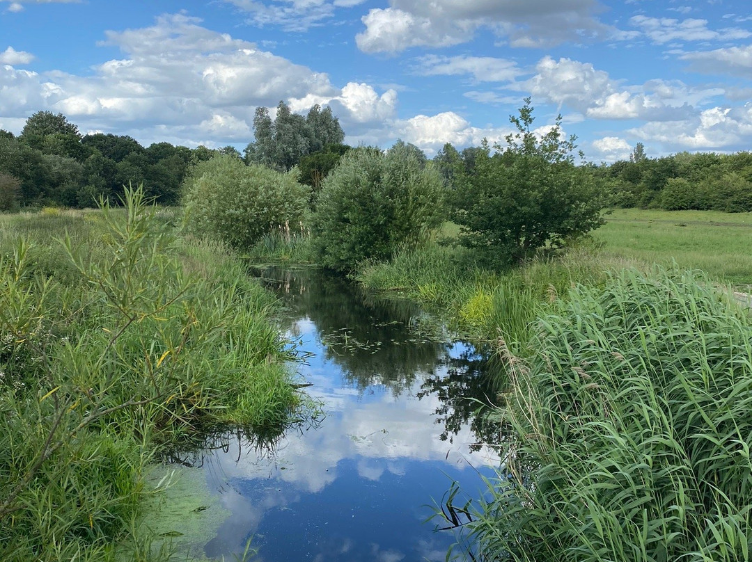 Davy Down Country Park景点图片