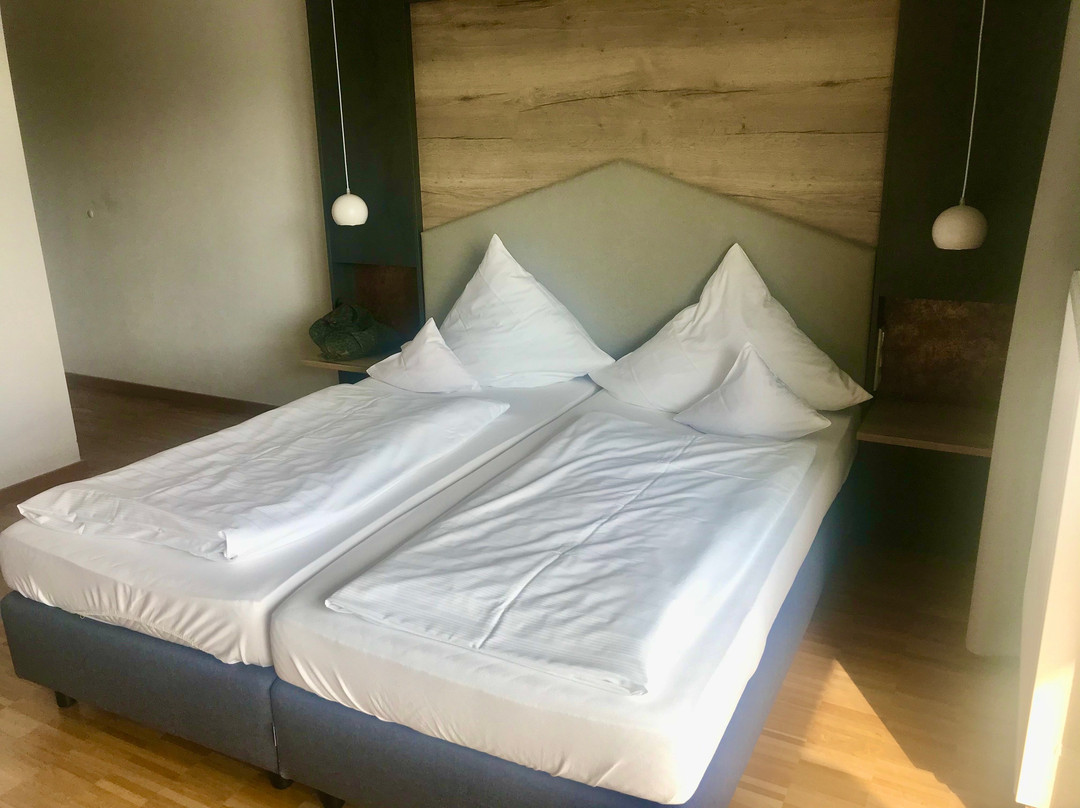 弗尔特酒店主图