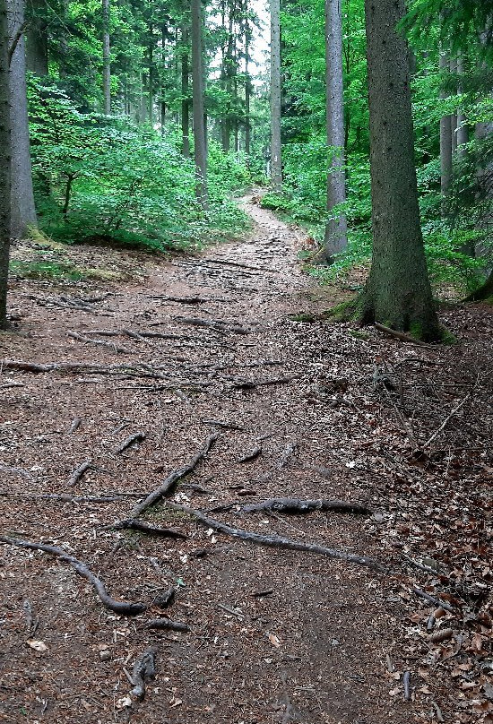 Landgasthof Gesellschaftsmuehle主图