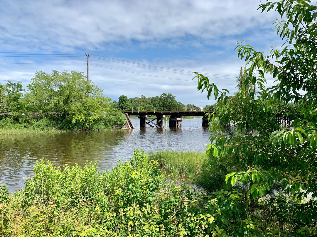 Elizabeth River Park景点图片