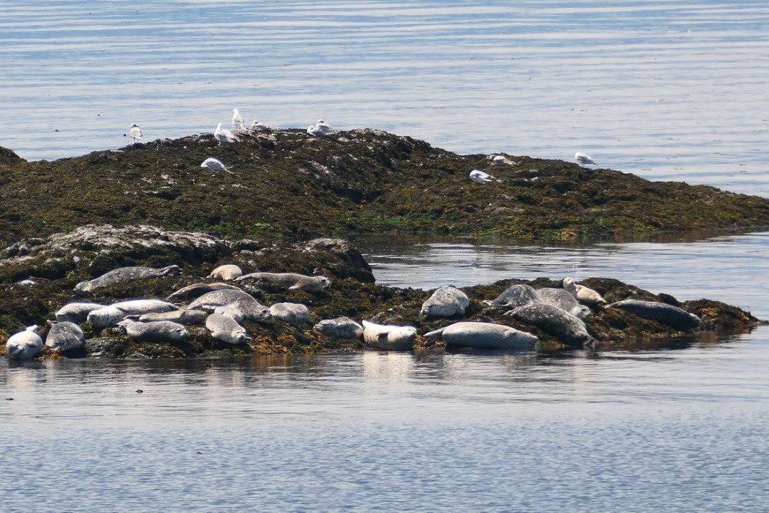 Witty's Lagoon Regional Park景点图片