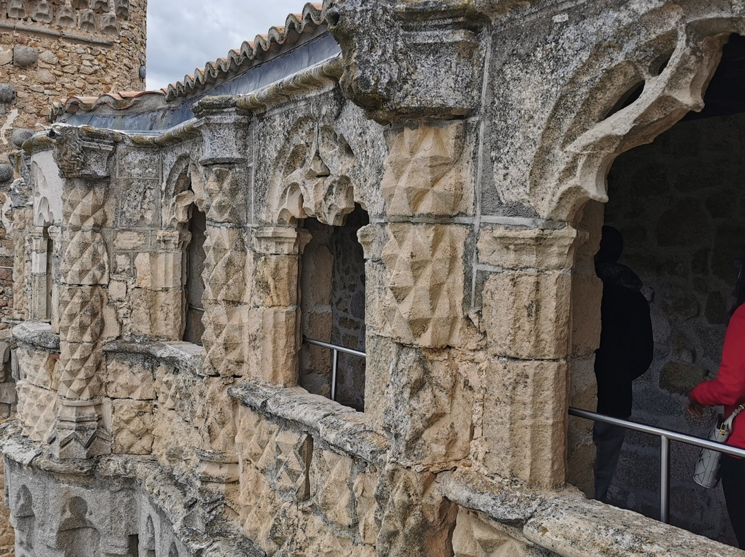 Castillo de Manzanares el Real景点图片