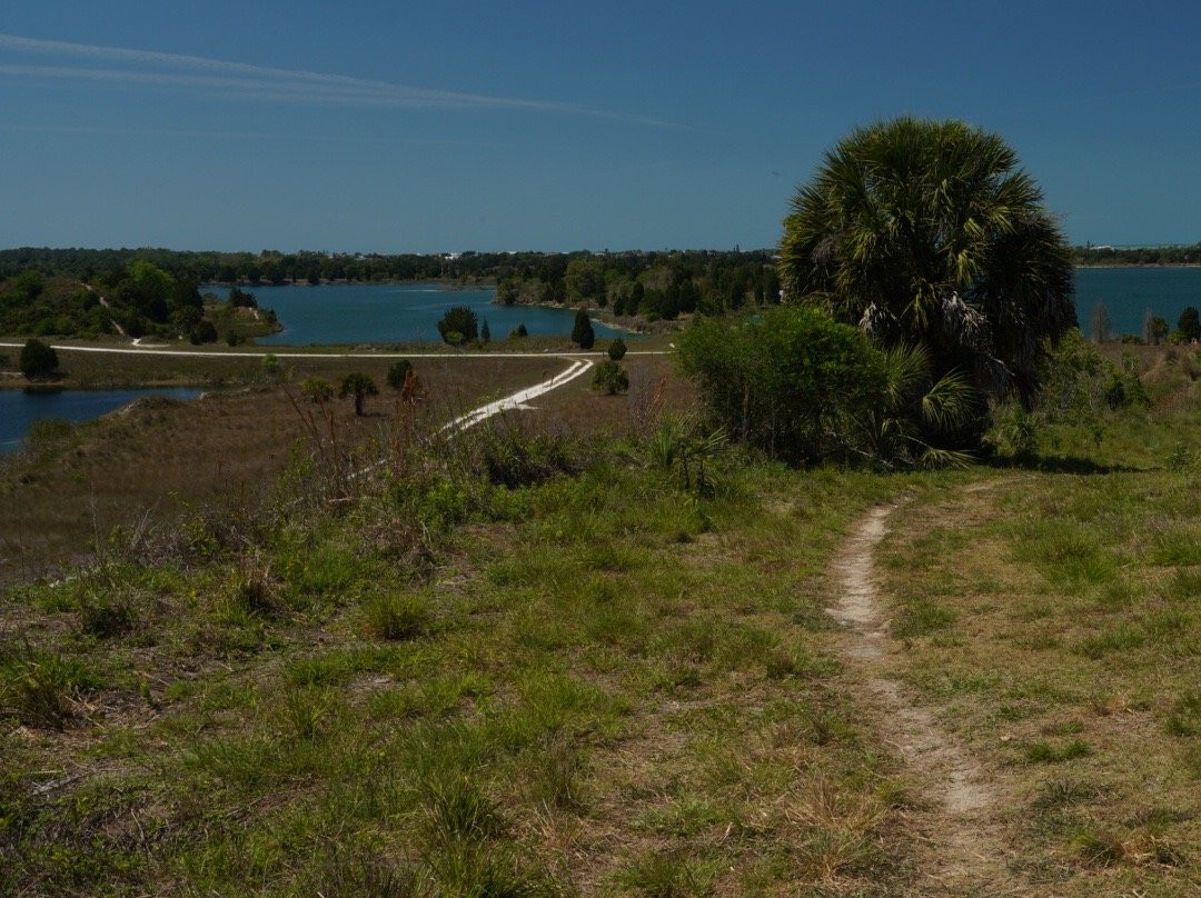 Weekiwachee Preserve景点图片