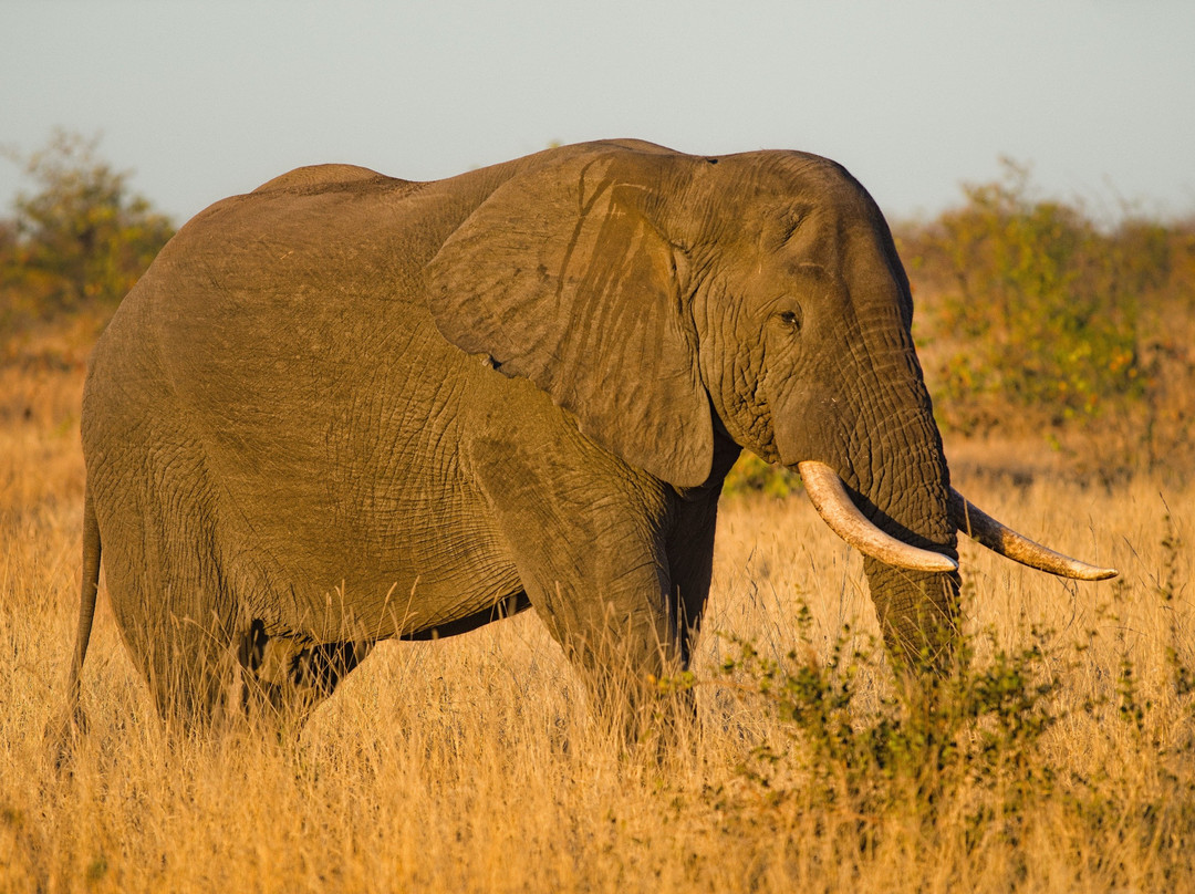 Prisha tours and travel Uganda-坎帕拉必去景点