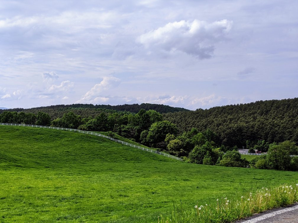 Kuzumaki Highland Farm-葛卷町必去景点