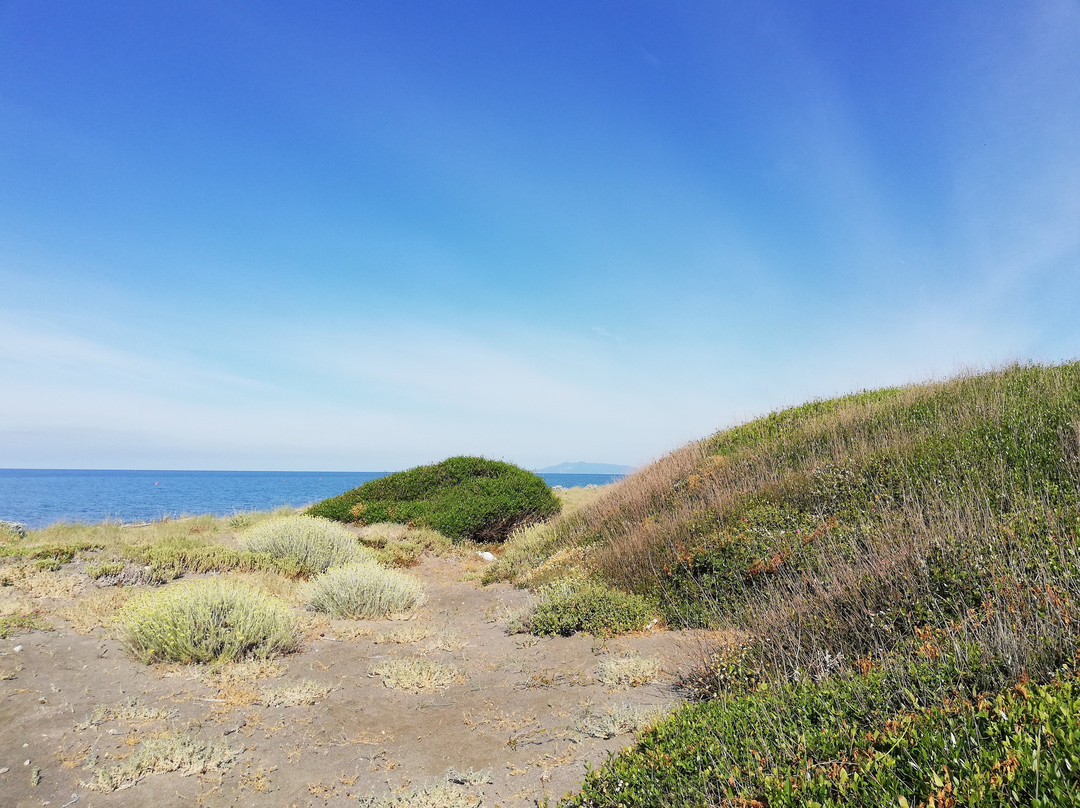 Spiaggia delle Murelle景点图片