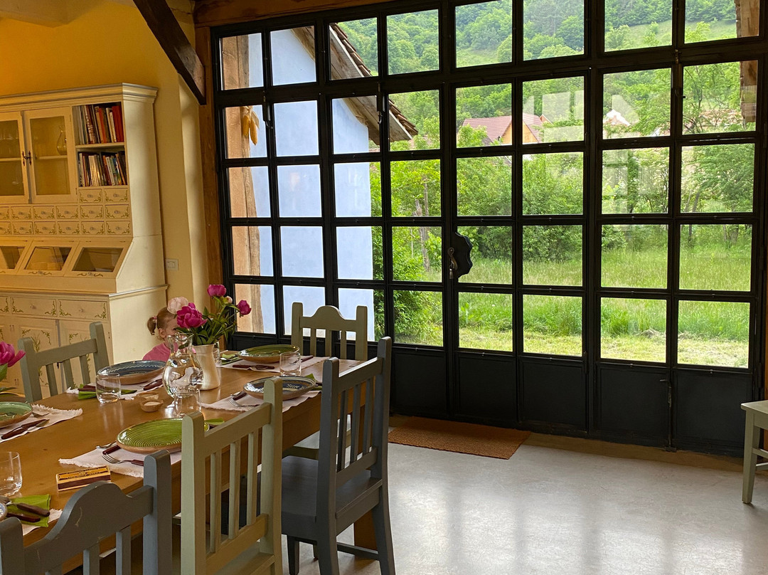 Copsa Mare Guesthouse主图
