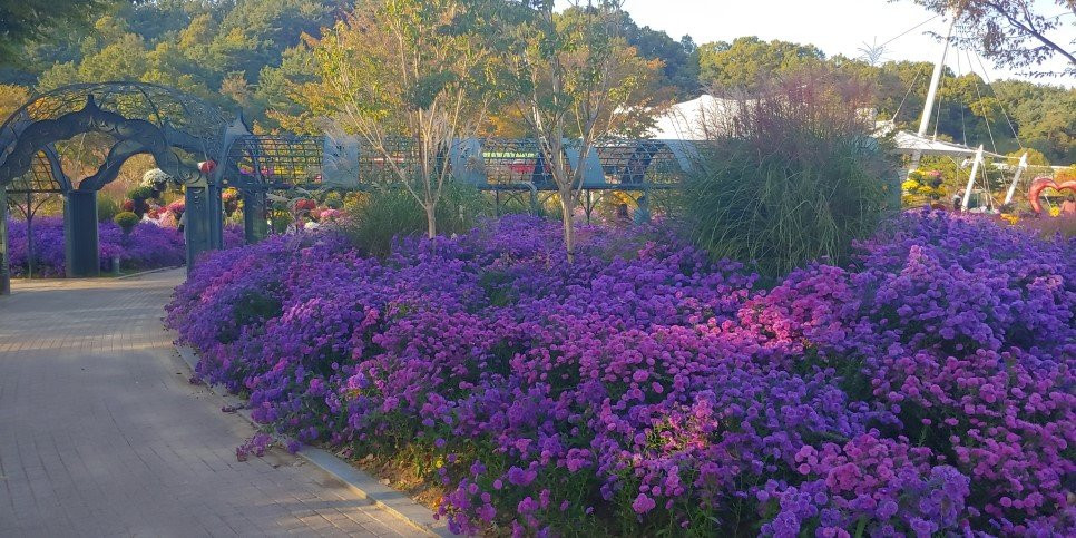 Daejeon O-World-大田必去景点