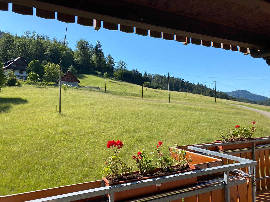 Gasthaus Herbstwasen主图
