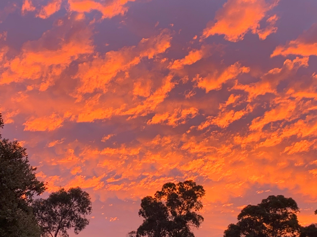 Margaret River Bushtucker River &Winery Tours景点图片