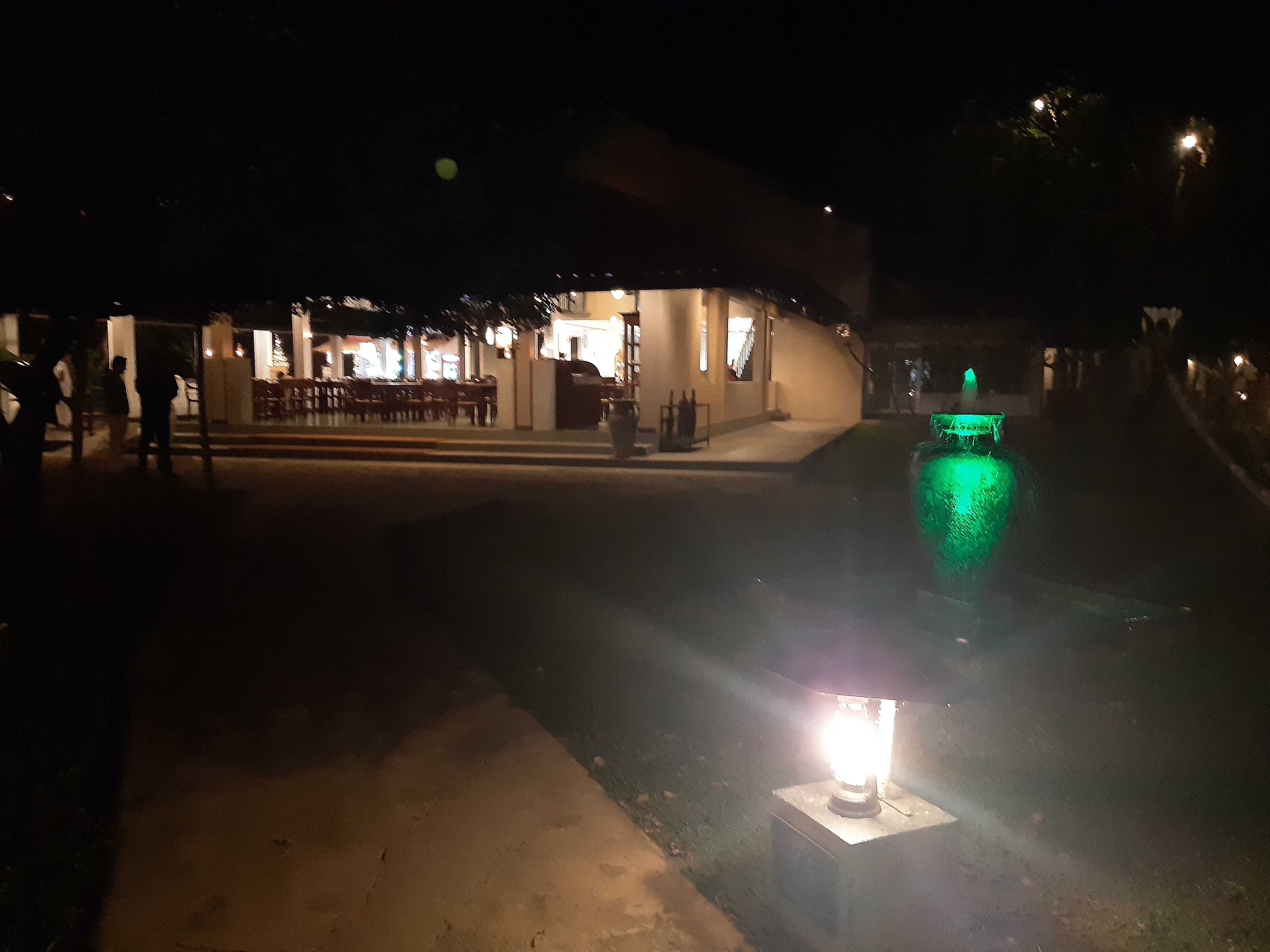 迦叶狮石酒店-餐饮