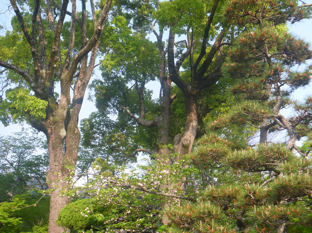 Ryusen-ji Temple-加古川市必去景点