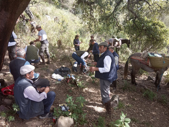 Turismo de Los Barrios-Los Barrios必去景点