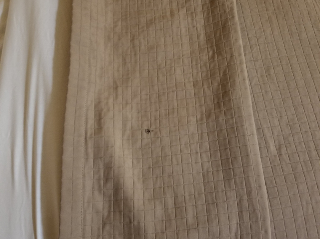 Econo Lodge Near Bluefield College主图