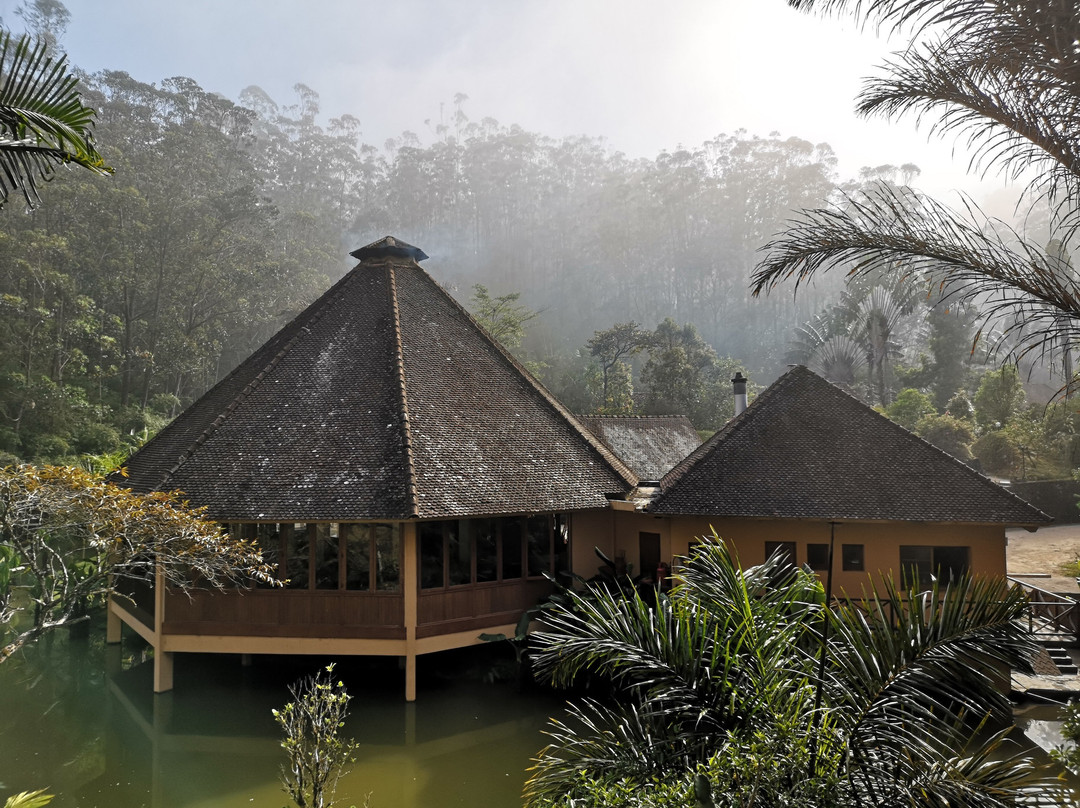 Vakona Forest Lodge主图