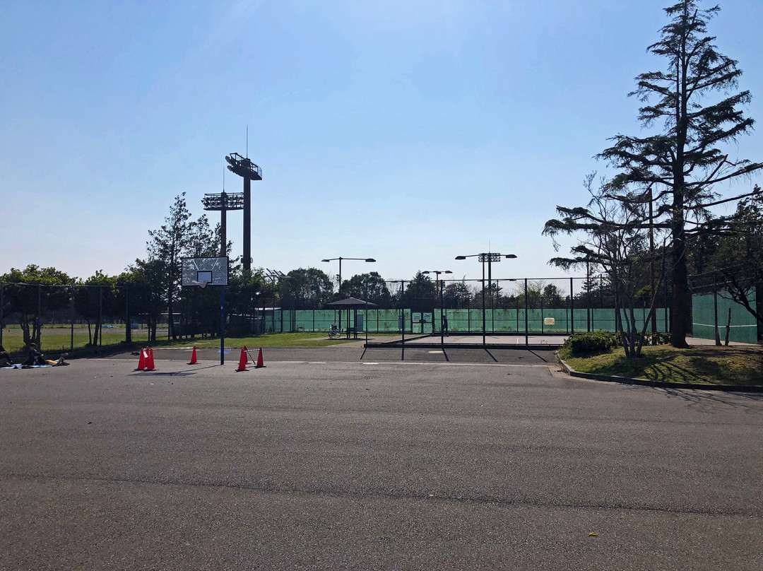Shinozaki Park景点图片