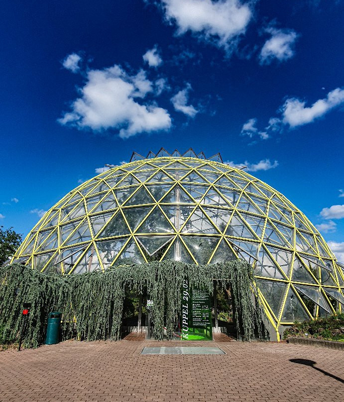 Botanical Garden景点图片