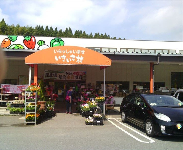 Nankan Iki Iki Village-南关町必去景点